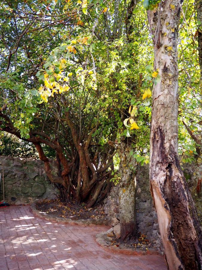 La Casa De Los Abuelos Valentin Pinilla del Valle Dış mekan fotoğraf